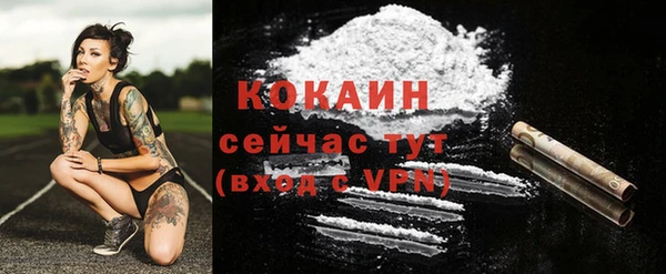 винт Верея