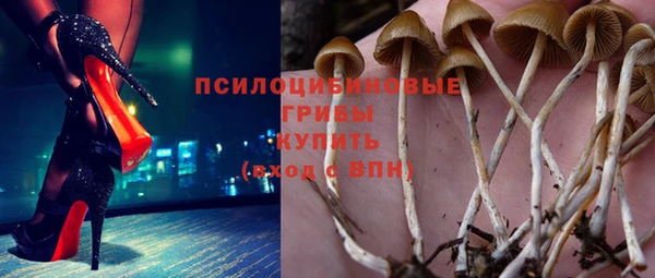 винт Верея